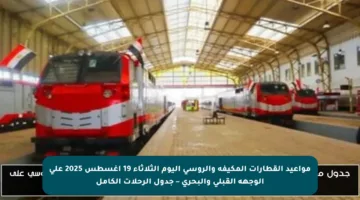 مواعيد القطارات المكيفة والروسي اليوم الثلاثاء 19 أغسطس 2025 على الوجهة القبلي والبحري – جدول الرحلات الكامل